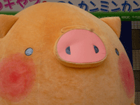 ころとん