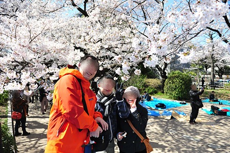 2012/4 Cherry blossom＠千鳥ヶ淵-18