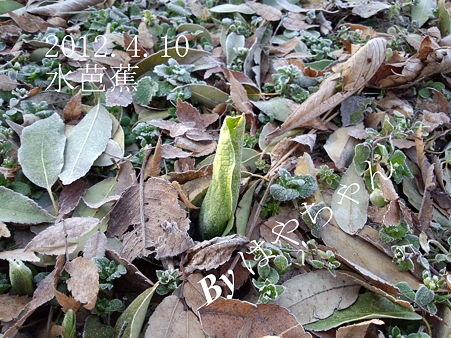 やっと・・・^^