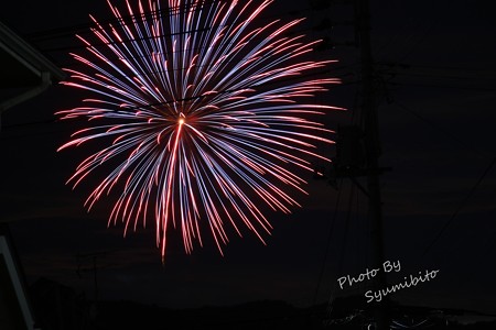 夜空に輝く大輪の花