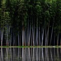 IMG_1599