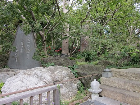 お花のお寺 常泉寺