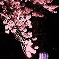 未知との遭遇。