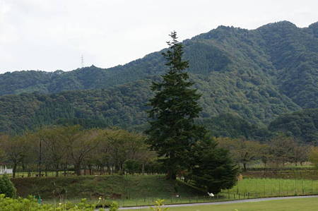 DSC03094