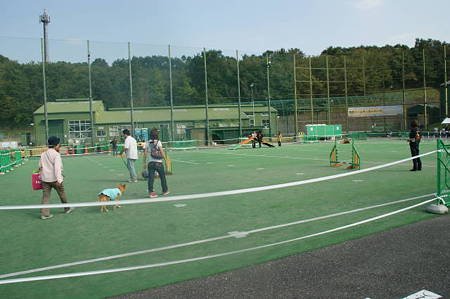 DSC03253