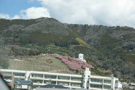 DSC04780