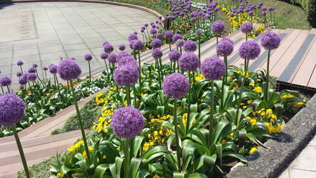 20150510_130225