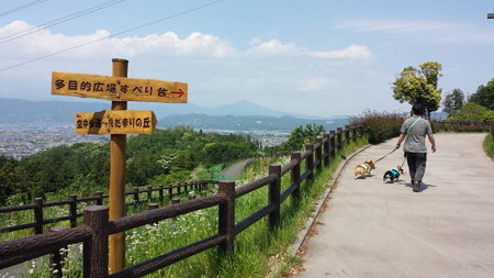 20150510_131105