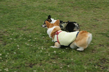DSC04870