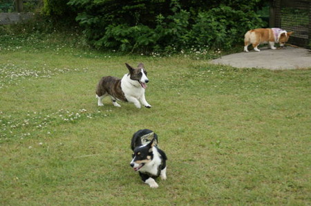DSC04969