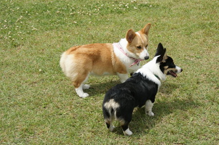 DSC05022