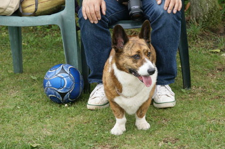 DSC05055