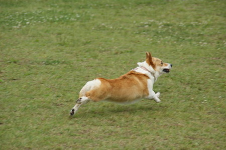 DSC05057