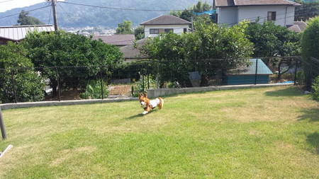20150812_144211