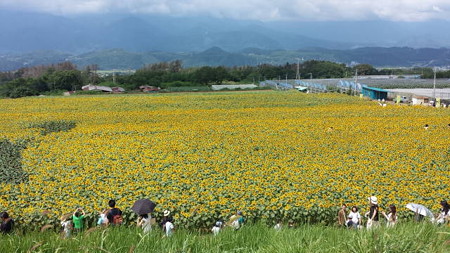 20150814_102402