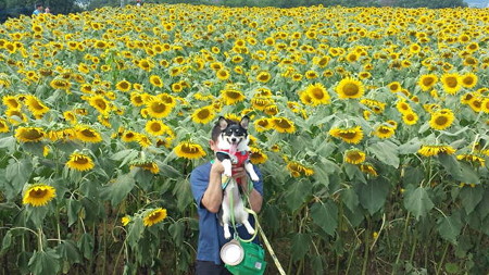 20150814_104312