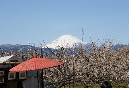DSC07867