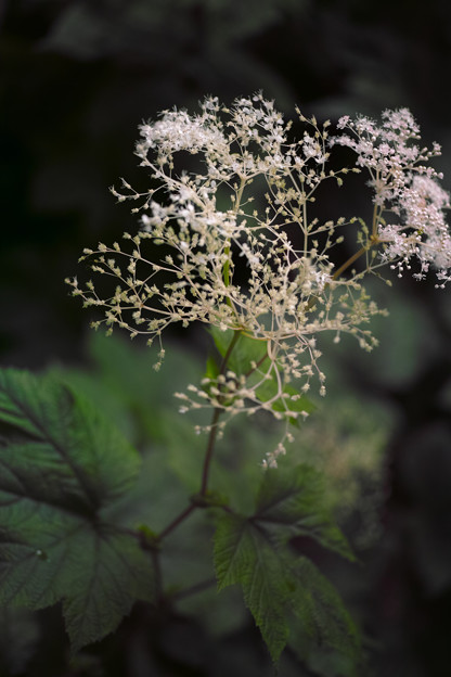 _P3M0702