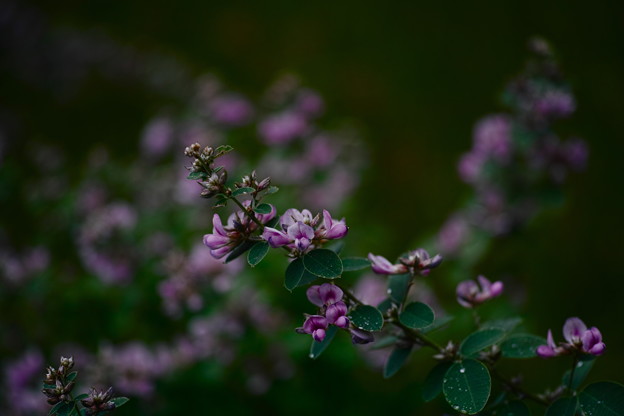 _P3M1547