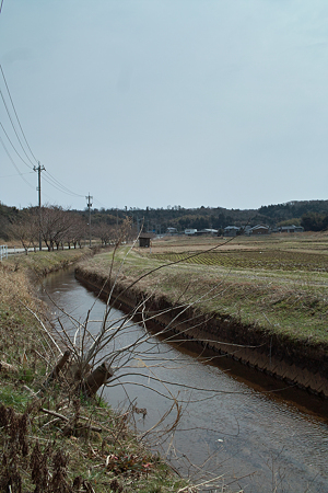 Creek03112012dp2-03
