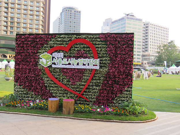 resize3461 写真: resize3461