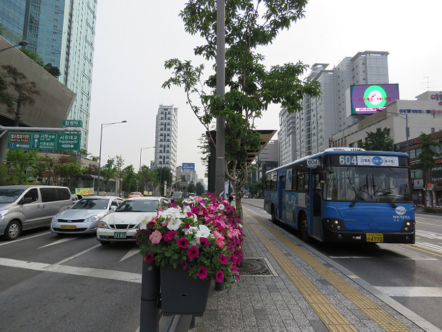 resize3563 写真: resize3563
