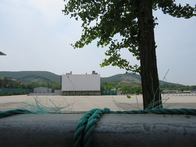 resize3601 写真: resize3601
