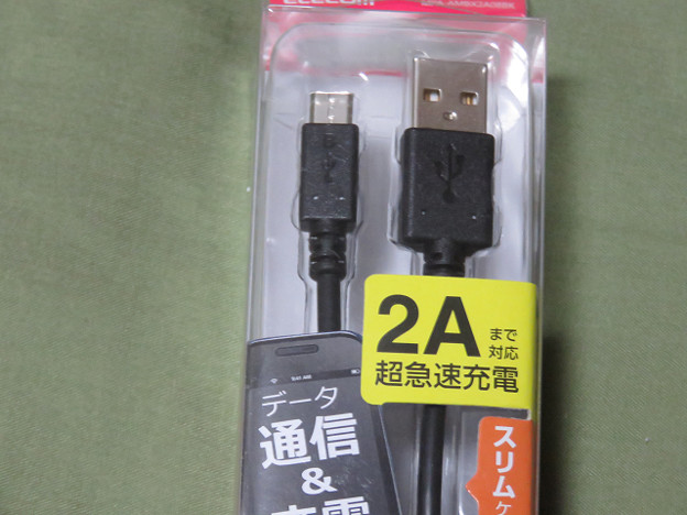 resize3505 写真: resize3505