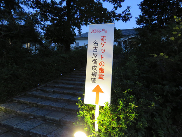 resize3977 写真: resize3977