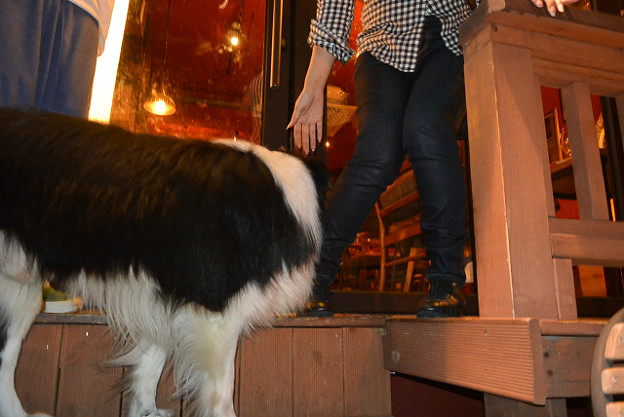 resize4246 写真: resize4246