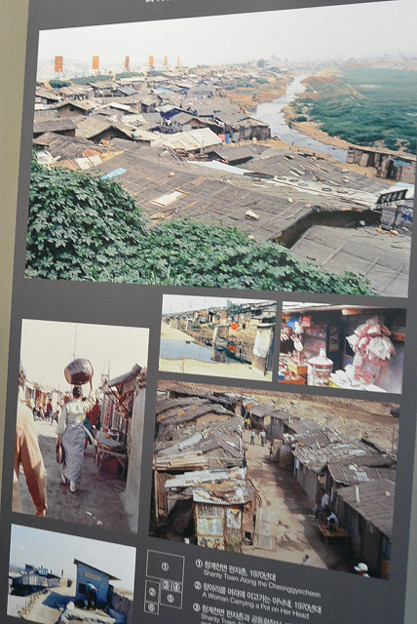 resize4398 写真: resize4398