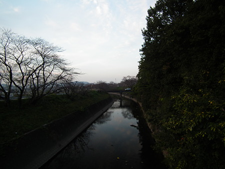 DSCF4143