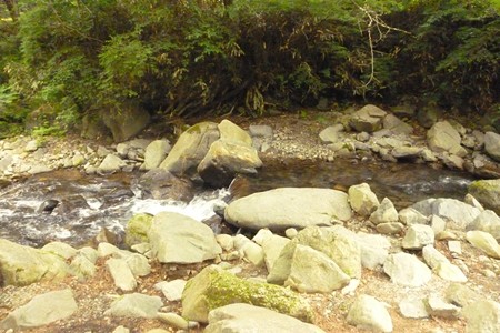 20150629_021Site