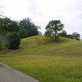 P1060639
(800x534) 写真: P1060639 (800x534)