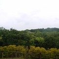P1060575
(800x534) 写真: P1060575 (800x534)