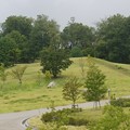 P1060634
(800x534) 写真: P1060634 (800x534)