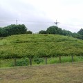 P1060600
(800x534) 写真: P1060600 (800x534)