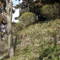 茨城県筑西市桜塚古墳(稲荷塚)
