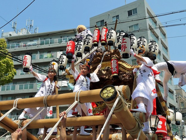 Photos: 灘のだんじり祭り
