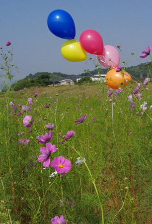 IMGP5922_1008