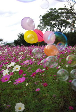 IMGP8506_1013