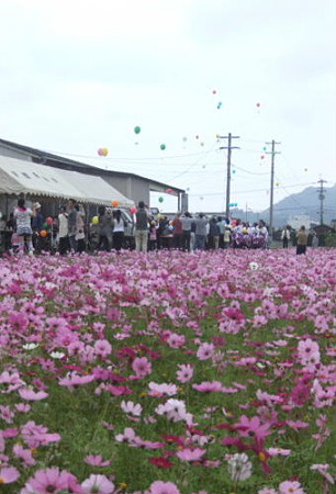 DSCF6157_1106