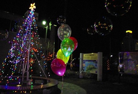 IMGP3603_1212