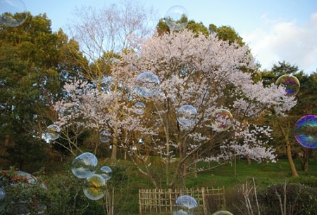 IMGP0755_0331