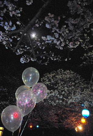 IMGP1084_0404