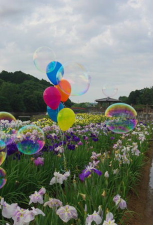 IMGP5028_0617