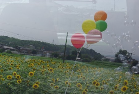 IMGP0178_0714