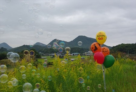 IMGP0686_1005