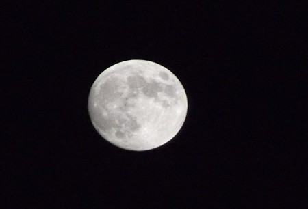 DSCF2899_1007