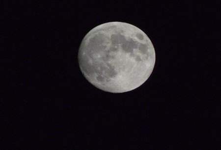 DSCF2958_1007